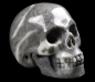 Preview: Fossil Stone Skull